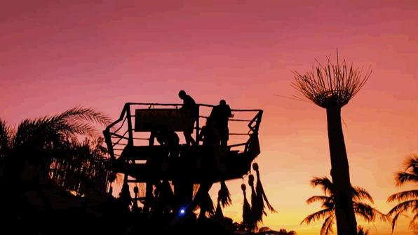 恋恋丽贝岛，人狗情未了|KohLipe