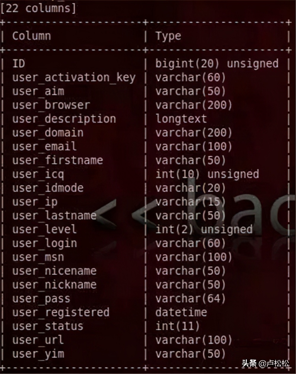 流量劫持技术解读,流量劫持技巧详解