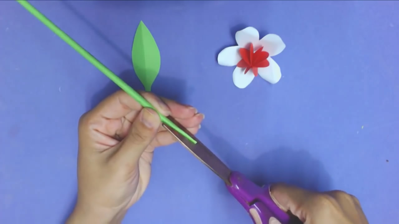 纸艺花卉制作教程,纸艺花卉教程褶皱纸荷花