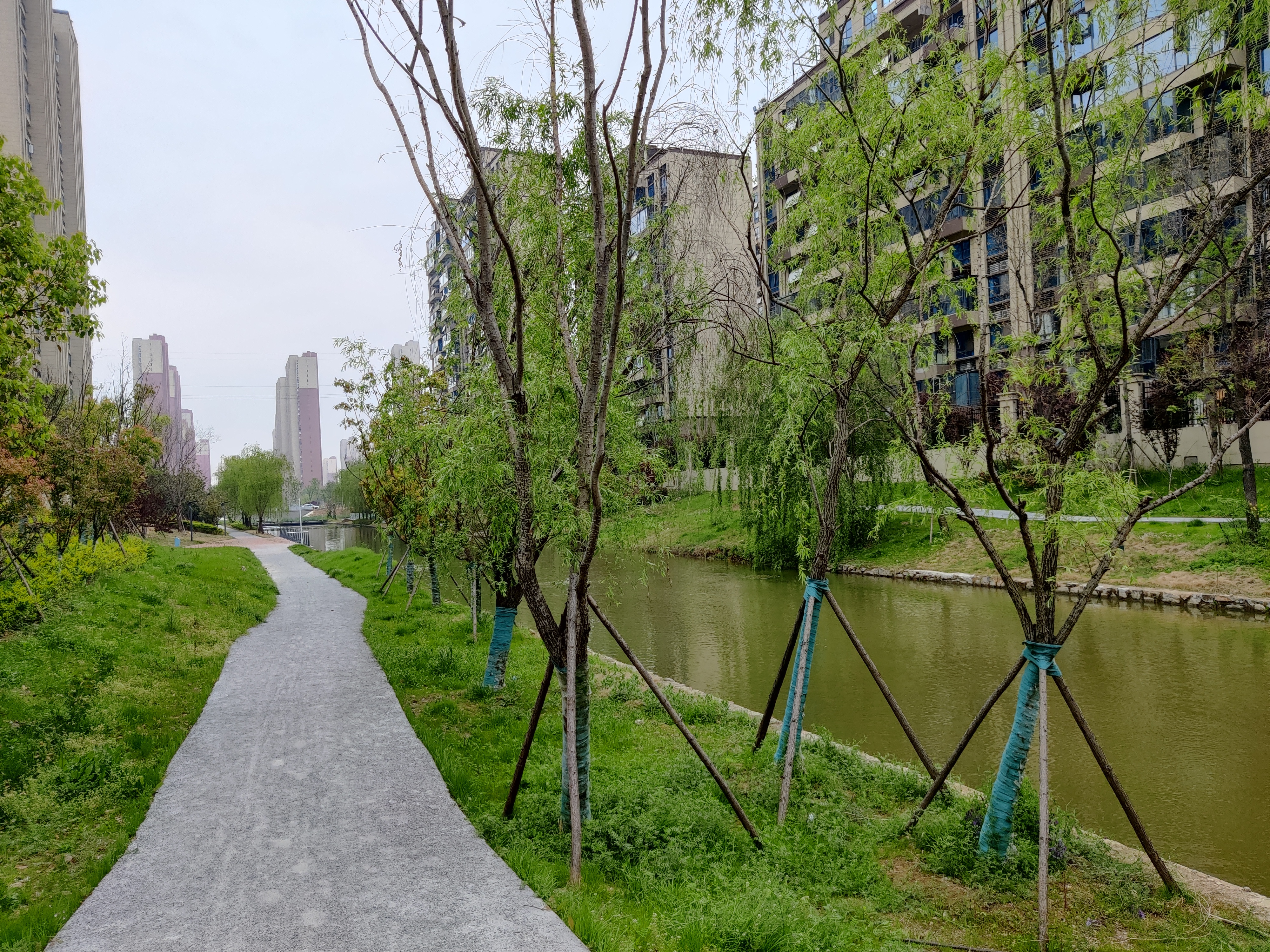 碧桂园时代城和融创哪个值得买,碧桂园时代城和九鼎华府选哪个