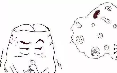 “鬼臼毒素酊”真能治好尖锐湿疣？