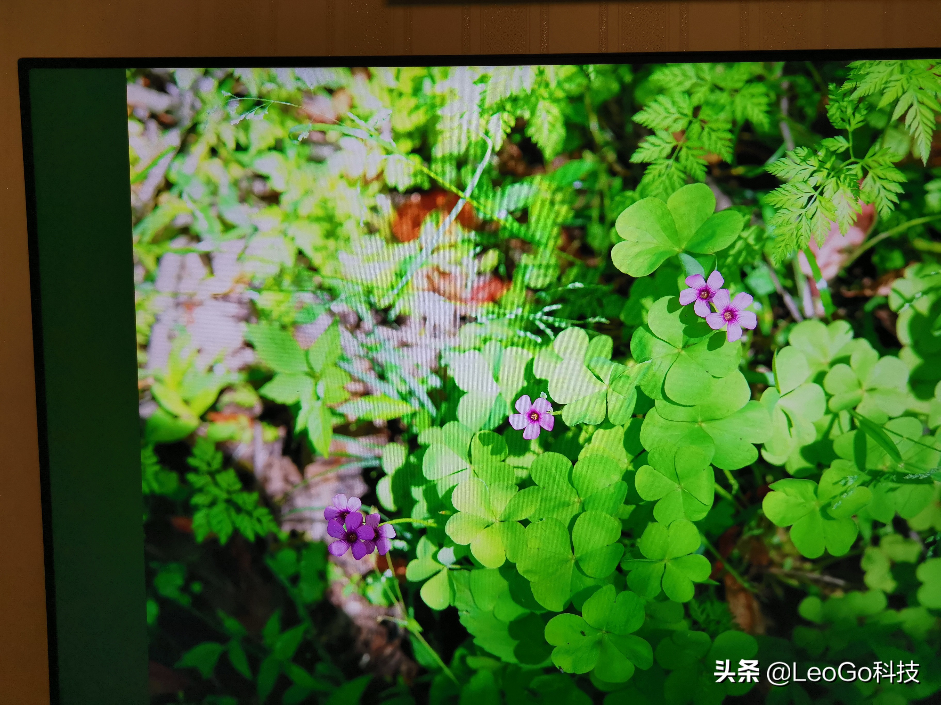 华为智慧屏v55i电视机重量太重,华为智慧屏v55i电视评测