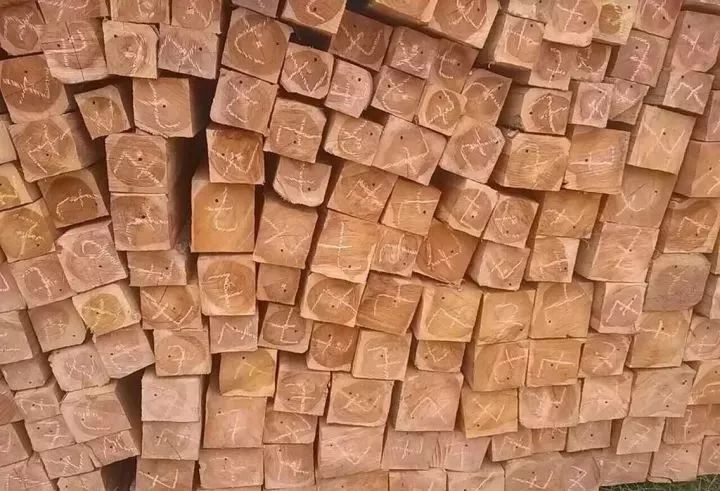 谁才是真正的万木之王柚木,万木之王缅甸柚木市场价位