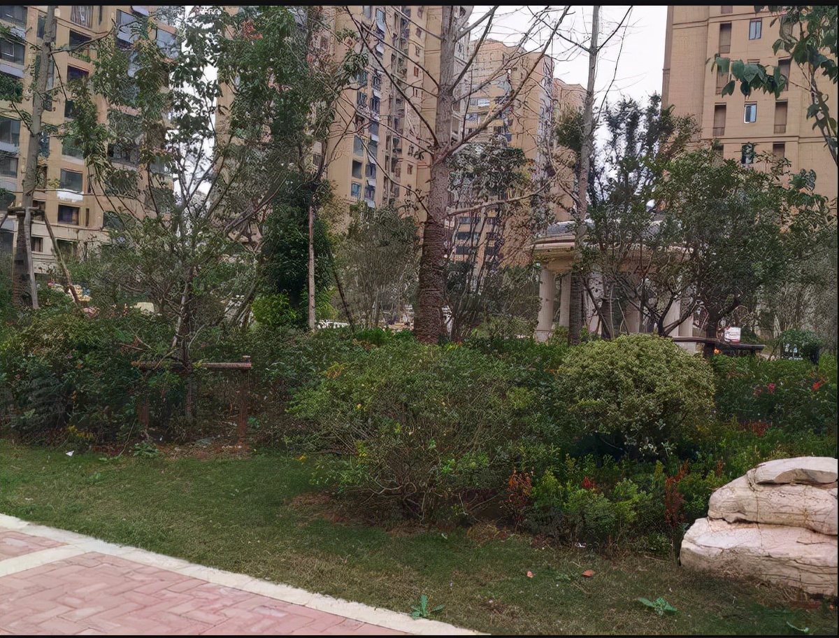 徐州楼市跌幅排行榜,徐州楼市行情走势最新