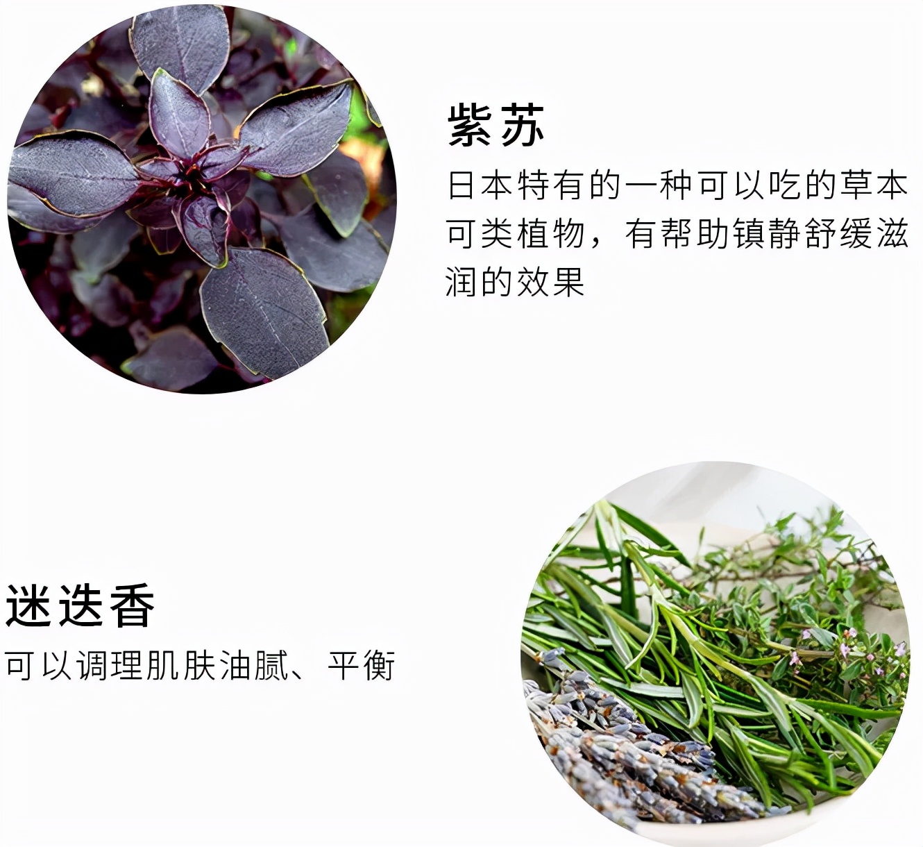 黛珂植物韵律水乳清爽滋润怎么选,黛珂植物韵律水乳清爽和滋润