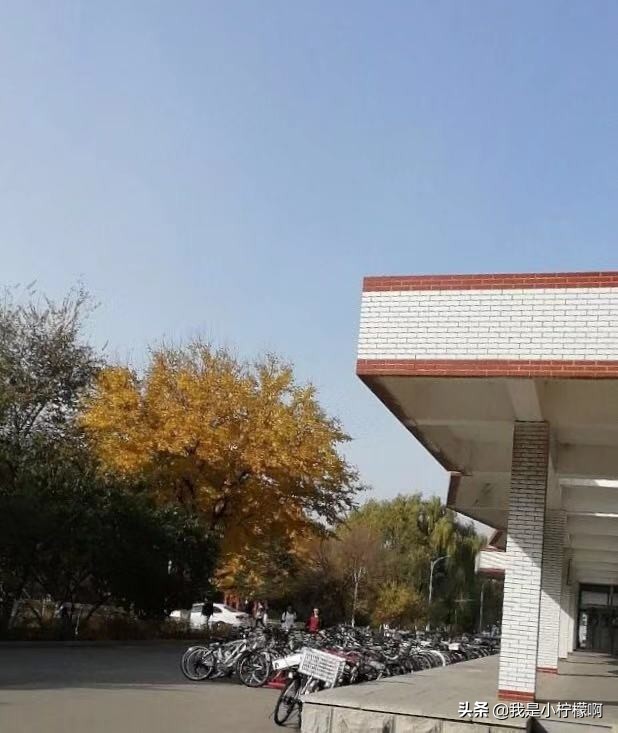 沈阳化工大学-是一所综合性大学化工为主