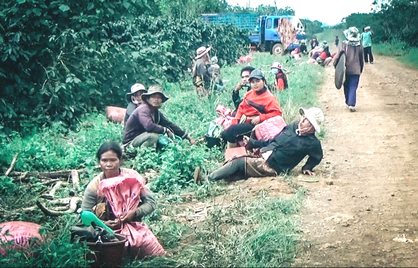 老挝中资工厂工资,老挝华人咖啡工厂