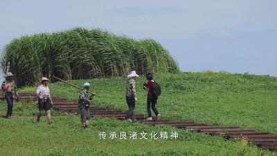 为什么爱余杭？这N个理由令人心动