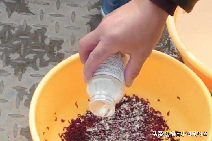 红虫伤人,红虫伤人案原因