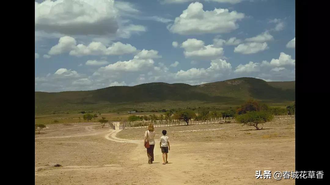 中央车站朵拉,朵拉为什么要见梅子