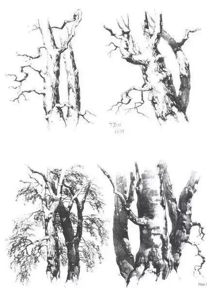 不会画风景咋办,不会画速写怎么办