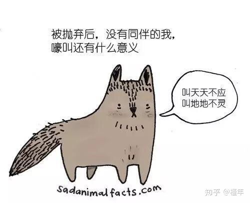 想象中不一样的动物冷知识,悲伤的动物视频