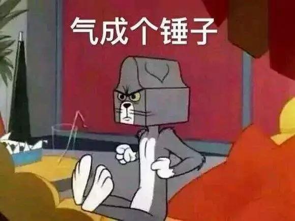 郑恺吴昕和杜海涛,郑恺吴昕现在有新恋情吗