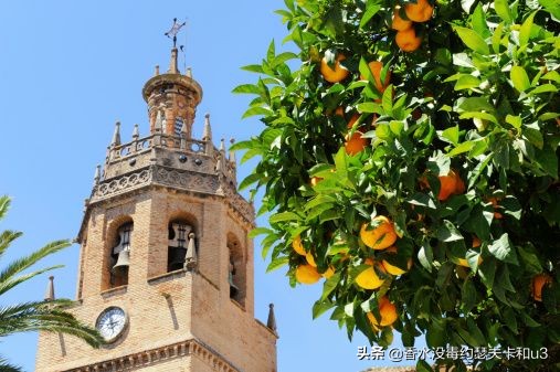 ysl薰衣草橙花麝香香水,7款热门白麝香香水推荐