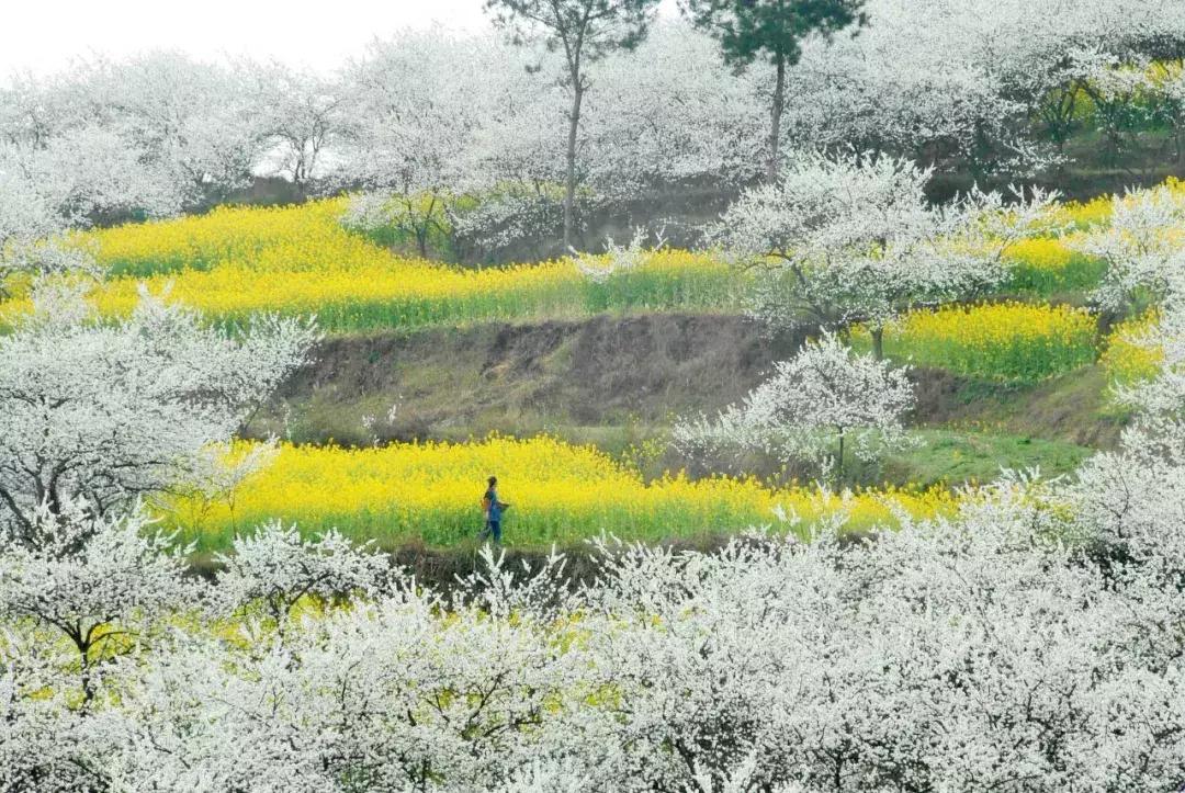 贵州黔东南为什么那么火,黔东南在贵州算不算穷的地方