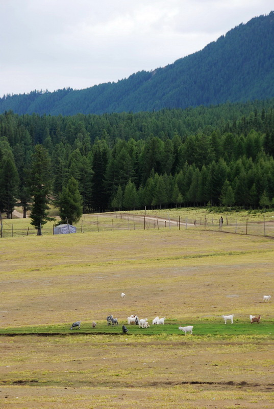 新疆哈密大动脉,新疆哈密重镇简介