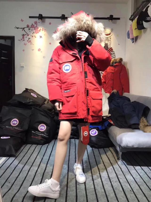 满大街都是加拿大鹅,满街加拿大鹅