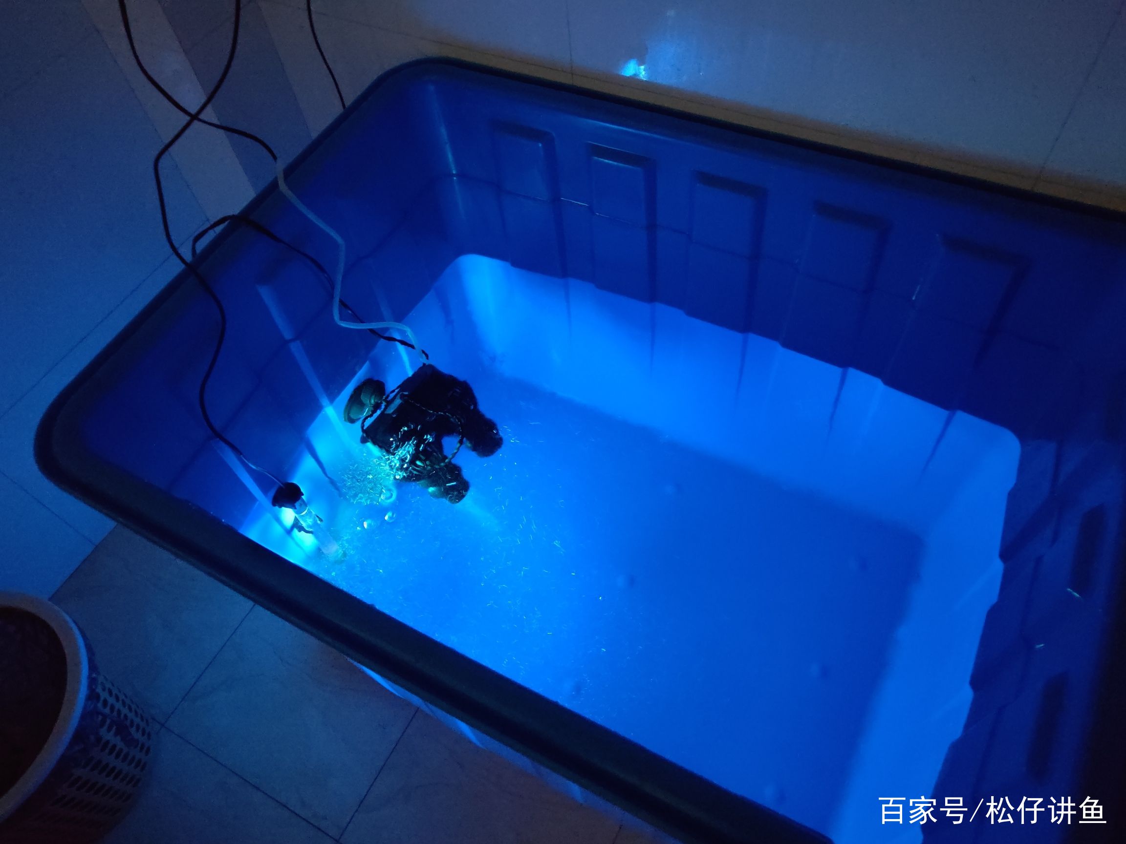 直接用自来水换水,直接接自来水养金鱼