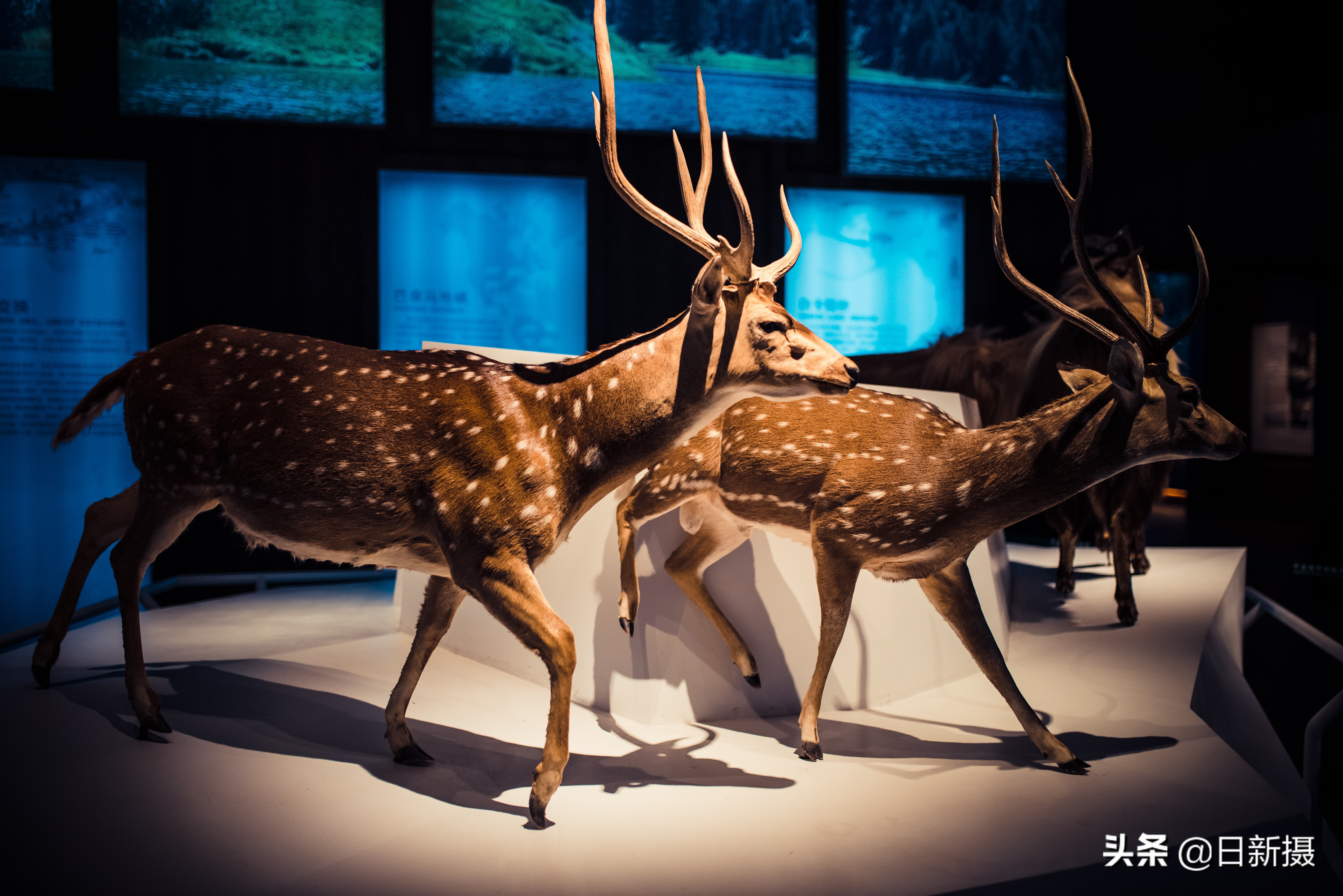 国家海洋博物馆之行,国家海洋博物馆蓝色海洋体验馆