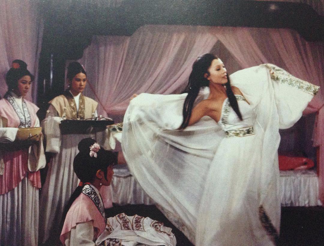 叶问4甄子丹电视剧,甄子丹演的叶问4免费观看