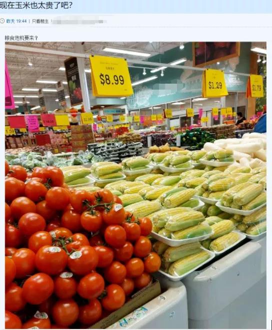 买不起菜了！多伦多华人超市玉米价格暴涨至$8.99！网友吐槽