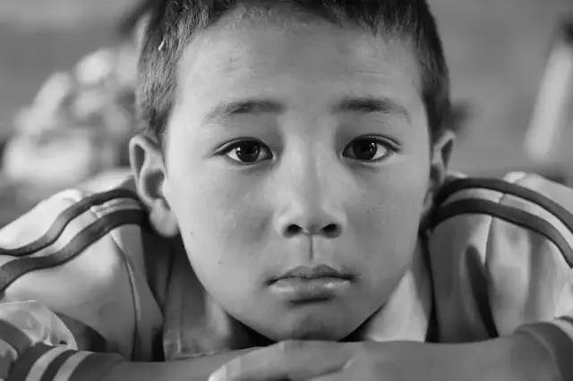 中国导演2019电影协会表彰大会,中国最好看的十大电影2020年的