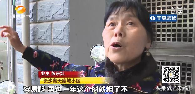 长沙神秘小区,长沙这座城市怎么火的