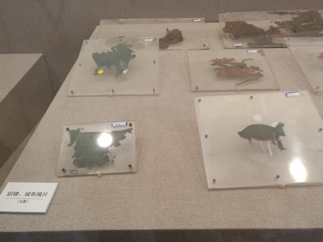 坐客车去新疆的视频,坐大巴到新疆的感受