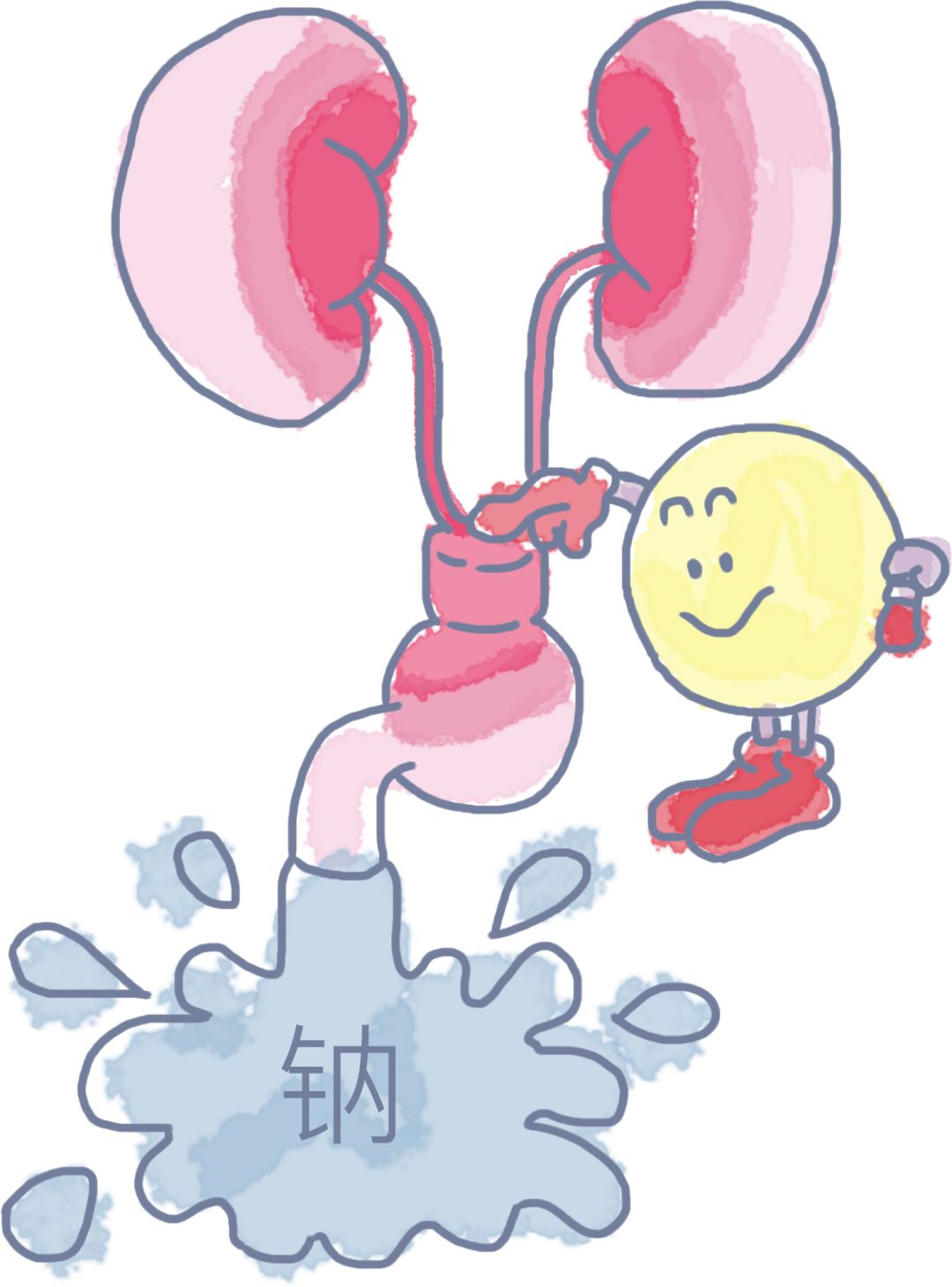 各种降压药物科普小视频,关于高血压你还要知道什么