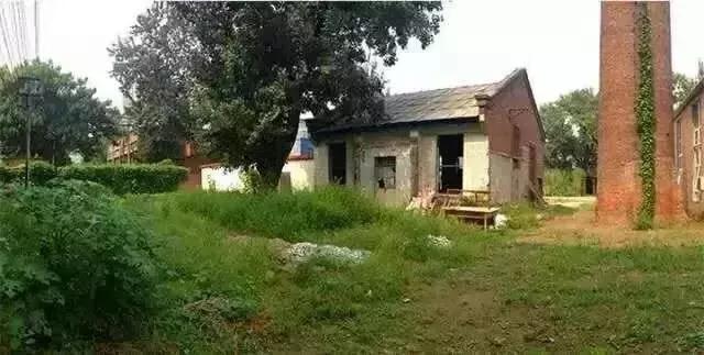 这家破厂房改造的花店，这是北京最美的小花店，明星都来拍照