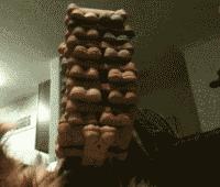 让你心动的搞笑图片,搞笑gif笑死人的动图