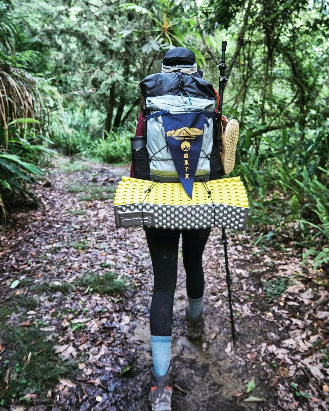 pick好店,pick好物版