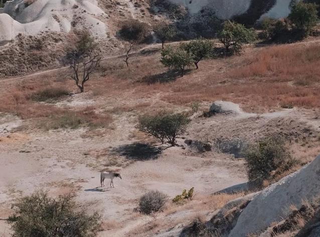 小姐姐分享自拍的“羞羞”日常，引百万人围观