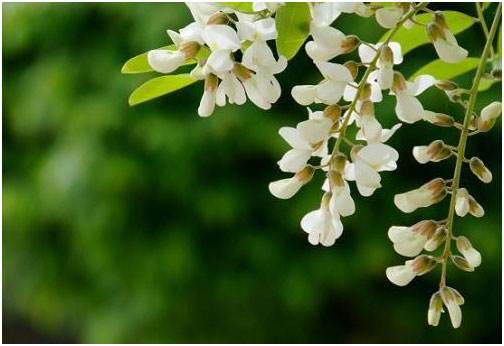 厌倦工作时候如何自我调节,当一个人很厌倦当前的工作怎么办