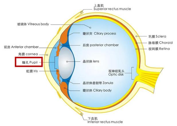 为什么戴了眼镜以后感觉不真实,第一次戴眼镜反而不清晰