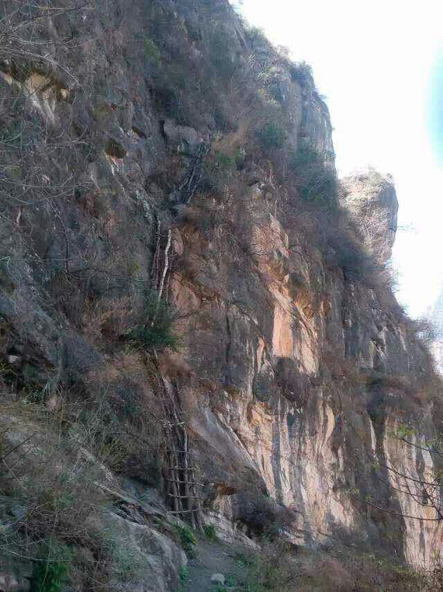 支教属于什么类型,支教属于什么社会工作