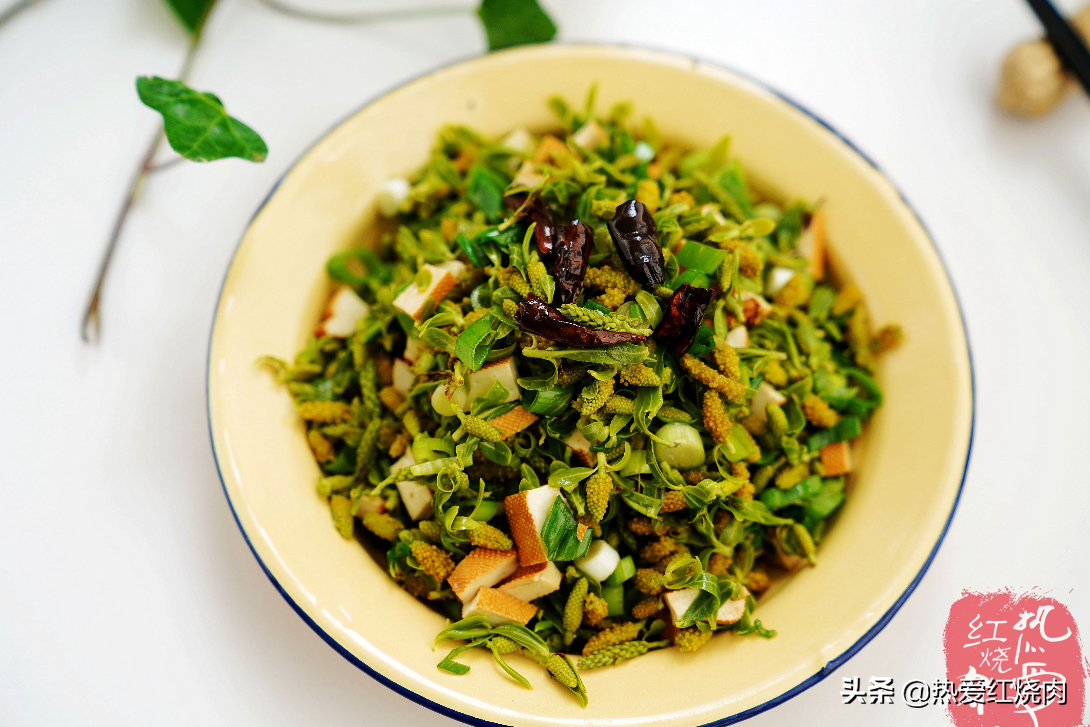 春天各种树芽的吃法,树芽的正确吃法