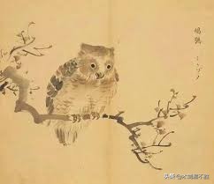 诗经中关于鸟的句子,诗经中寓意美好的鸟