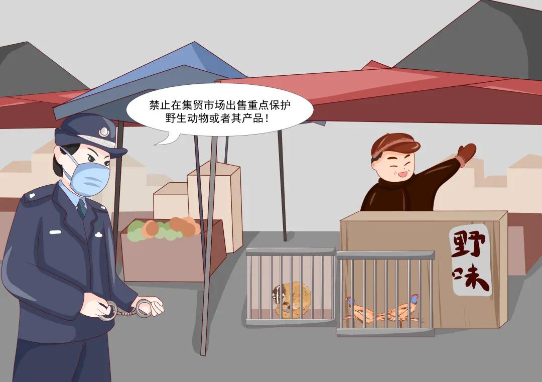 疫情防护必看知识大全,疫情防控相关法律法规