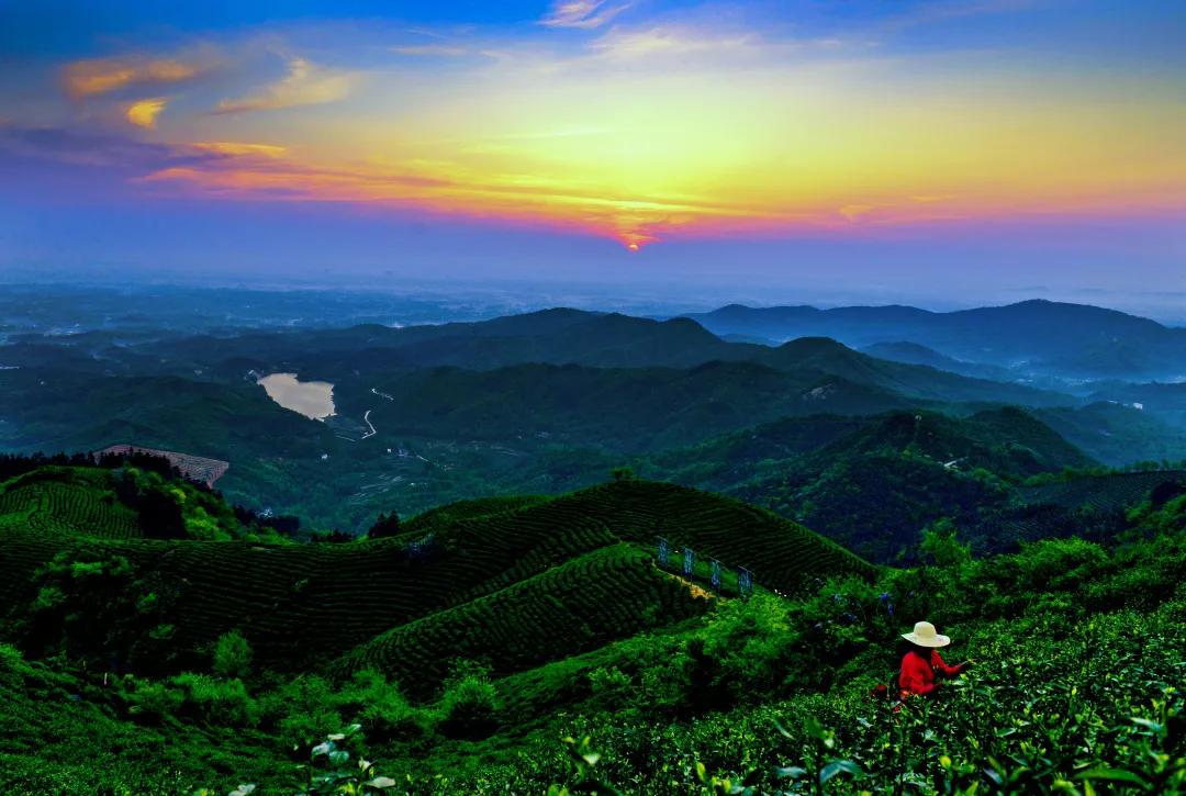 抗肺炎疫情我们在行动,抗击疫情路上我们在行动