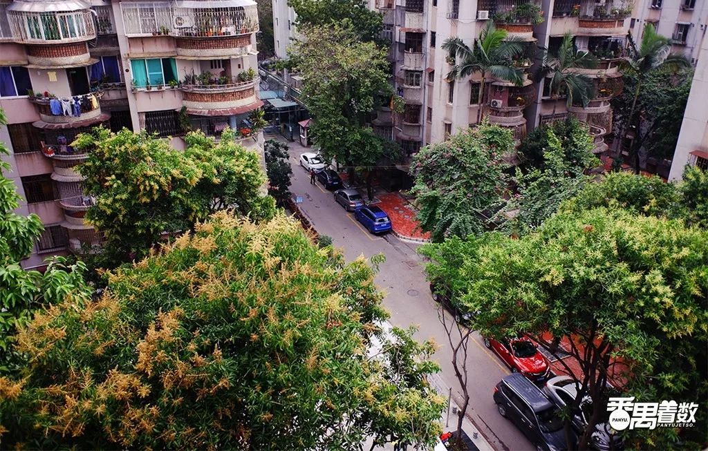 在广州番禺哪里住得舒服,在番禺住哪里比较好