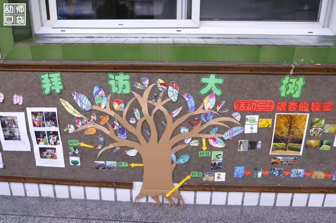 空间小、经费不足、面临*迁拆**，这家幼儿园却给出了满分的环境