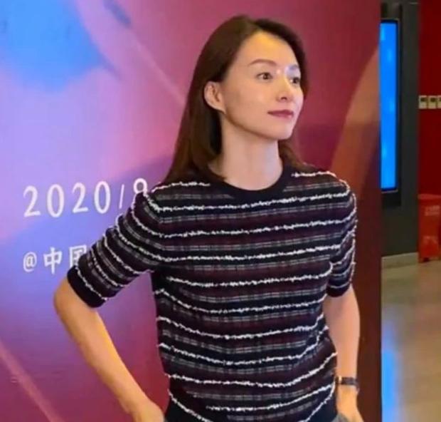 董卿中文有多美完整版,董卿有多好看