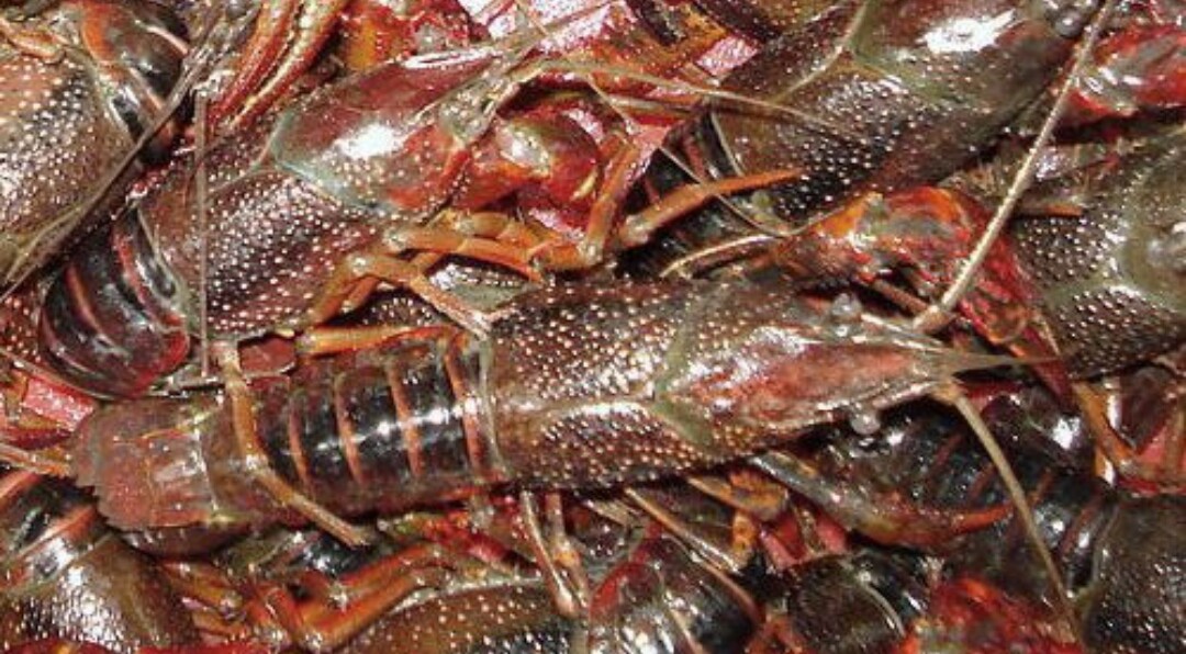 生活小技巧让你的生活变得更愉快,100个充满智慧的生活小技巧