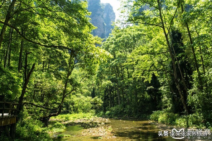 张家界武陵源天门山三日游团购,天门山森林公园张家界自由行攻略
