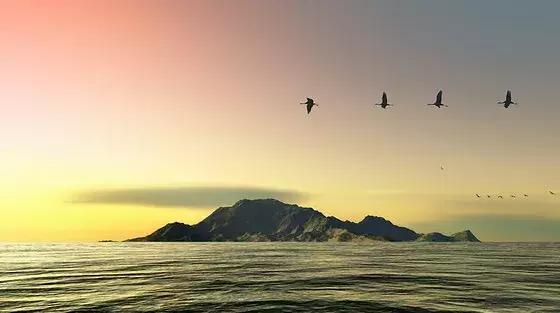 富有人生哲理的短文阅读,影响一生的100个哲理故事有哪些