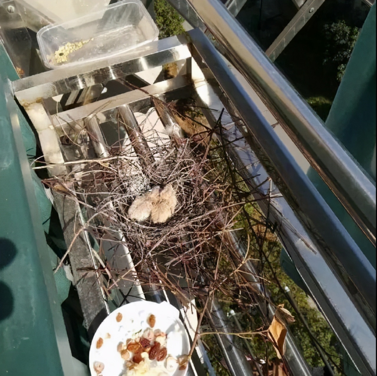 00后知道以前五一七天假吗,00后不知道00年代的事情