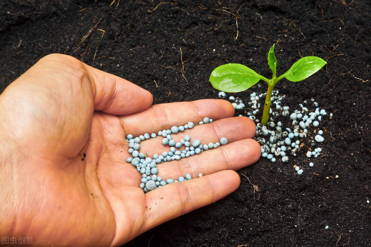 红三角复合肥料怎么辨别真假,天脊复合肥用什么方法辨别真假