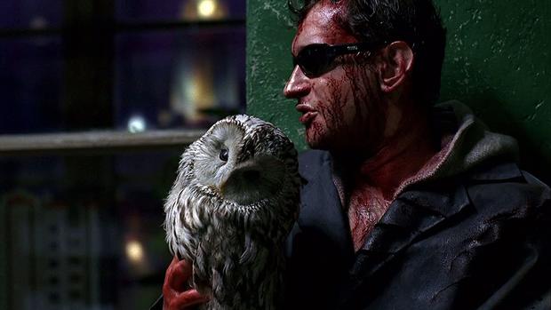 詹姆斯最全纪录片,詹姆斯经典动作全集