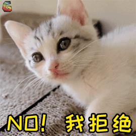 猫咪为什么好奇人类食物,为什么猫咪可以一直吃